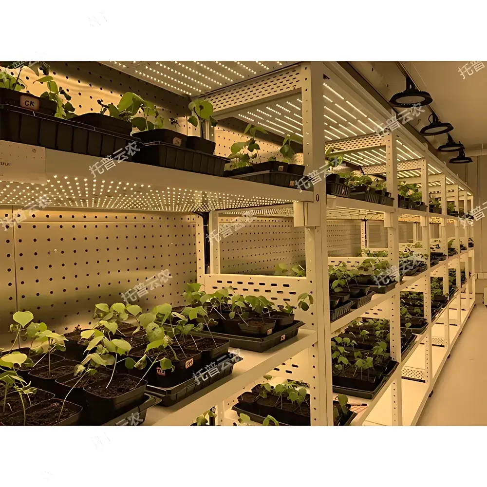 Top Cloud-agri TP-ZWC-1 Walk-in Plant Growth Chamber with Intelligent Environmental Control System