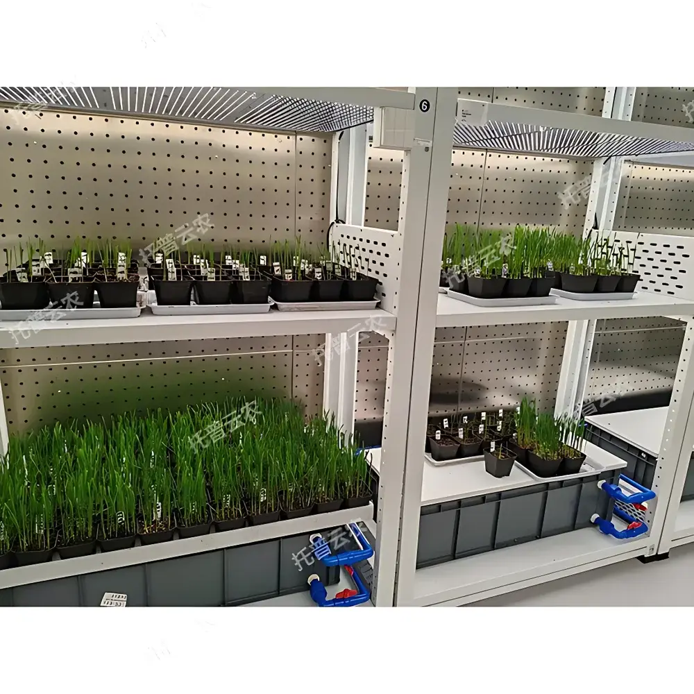 Top Cloud-agri TP-ZWC-1 Walk-in Plant Growth Chamber with Intelligent Environmental Control System