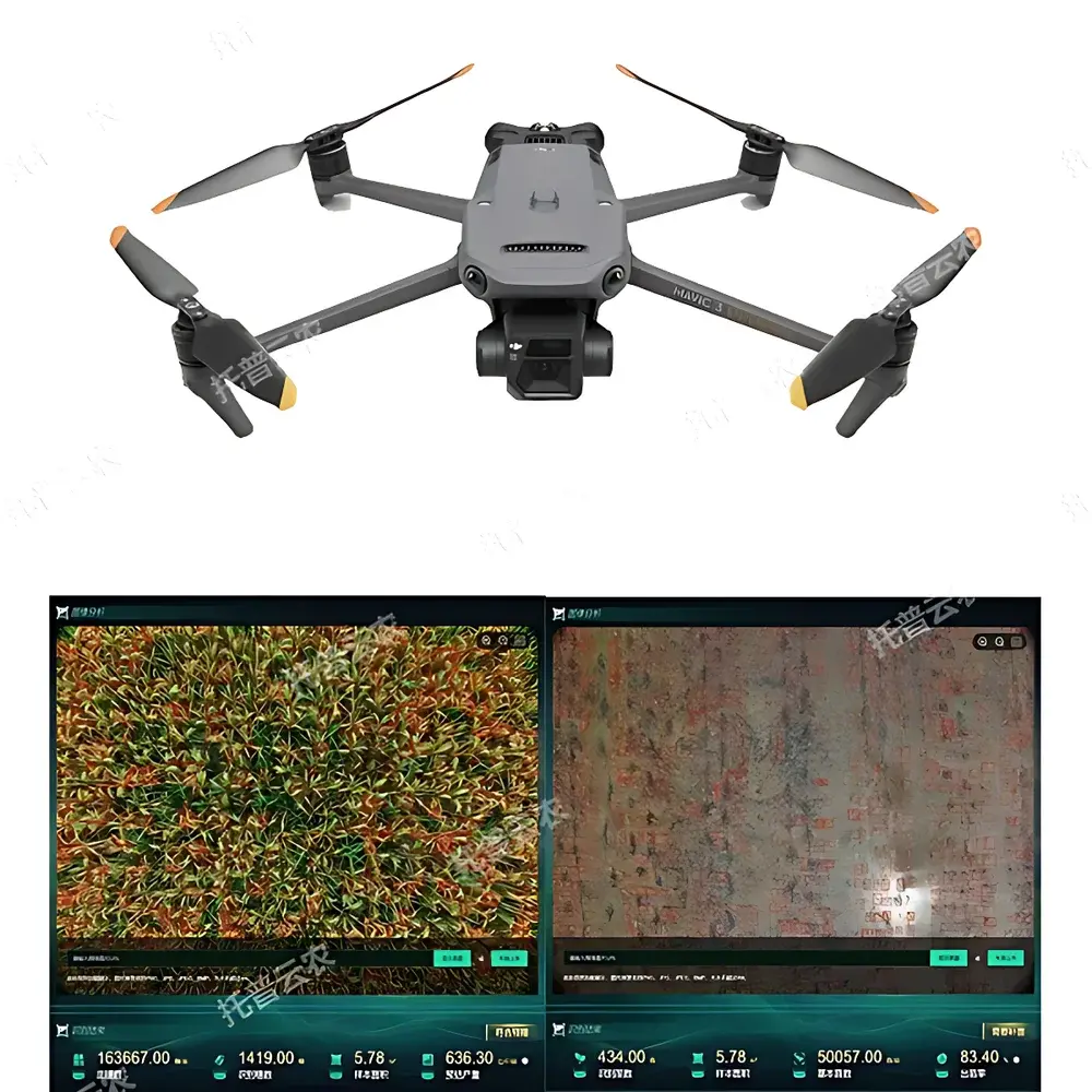 Top Cloud-agri TP-DGP-DM Intelligent Multispectral Crop Monitoring System for Rice and Wheat Full-Growth-Cycle UAV-Based Inspection