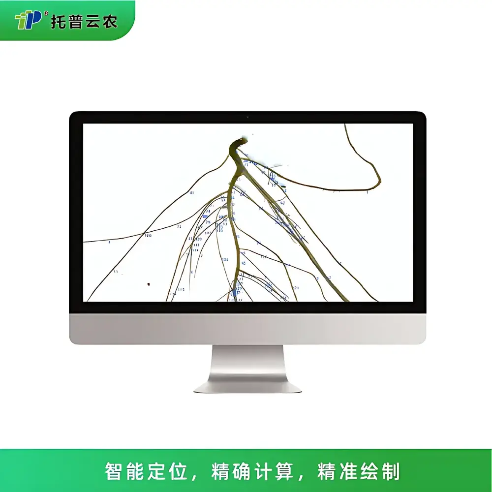 Top Cloud-agri GXY-A Plus Root Nodule and Root System Image Analysis System