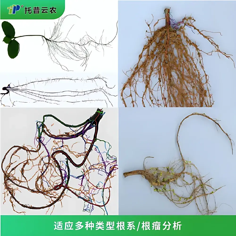 Top Cloud-agri GXY-A Plus Root Nodule and Root System Image Analysis System