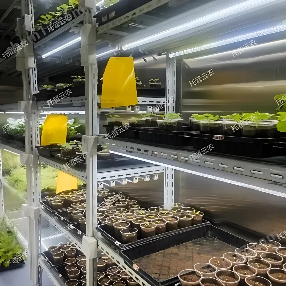 Top Cloud-agri Yumiao Yuyang Room Plant Growth Chamber