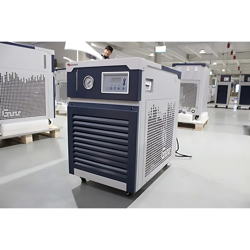 DL20 Series Low-Temperature Circulating Chiller
