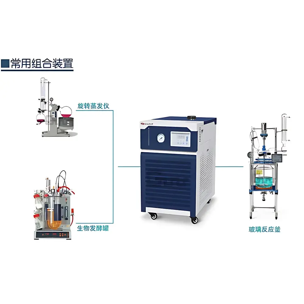 DL20 Series Low-Temperature Circulating Chiller