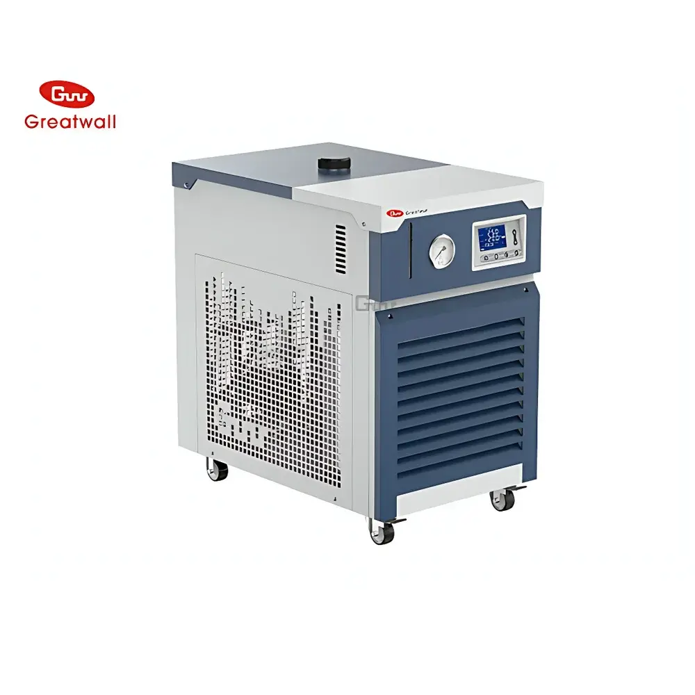 DL20 Series Low-Temperature Circulating Chiller
