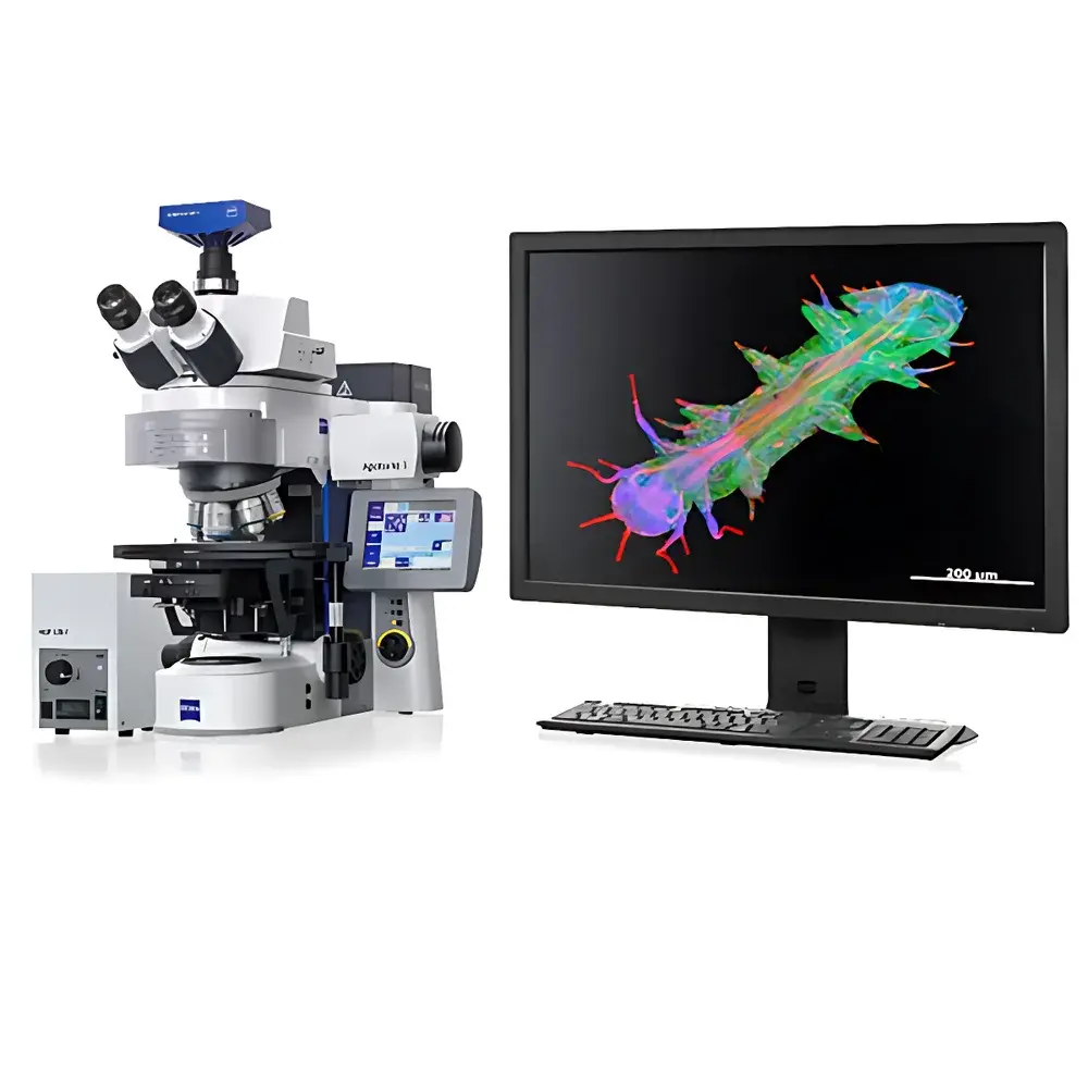 ZEISS Axio Imager 2 Research-Grade Upright Microscope