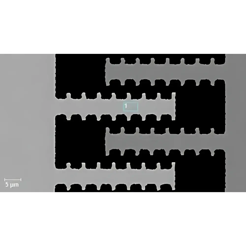 Lyncee Tec R2200 Digital Holographic Microscope (DHM)
