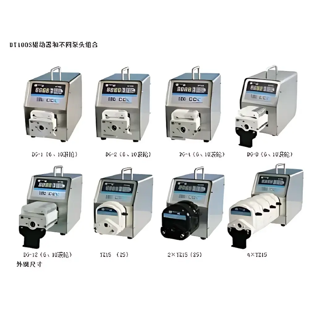 BT100S Precision Variable-Speed Peristaltic Pump with YZ15 and DG-Series Multi-Channel Pump Heads