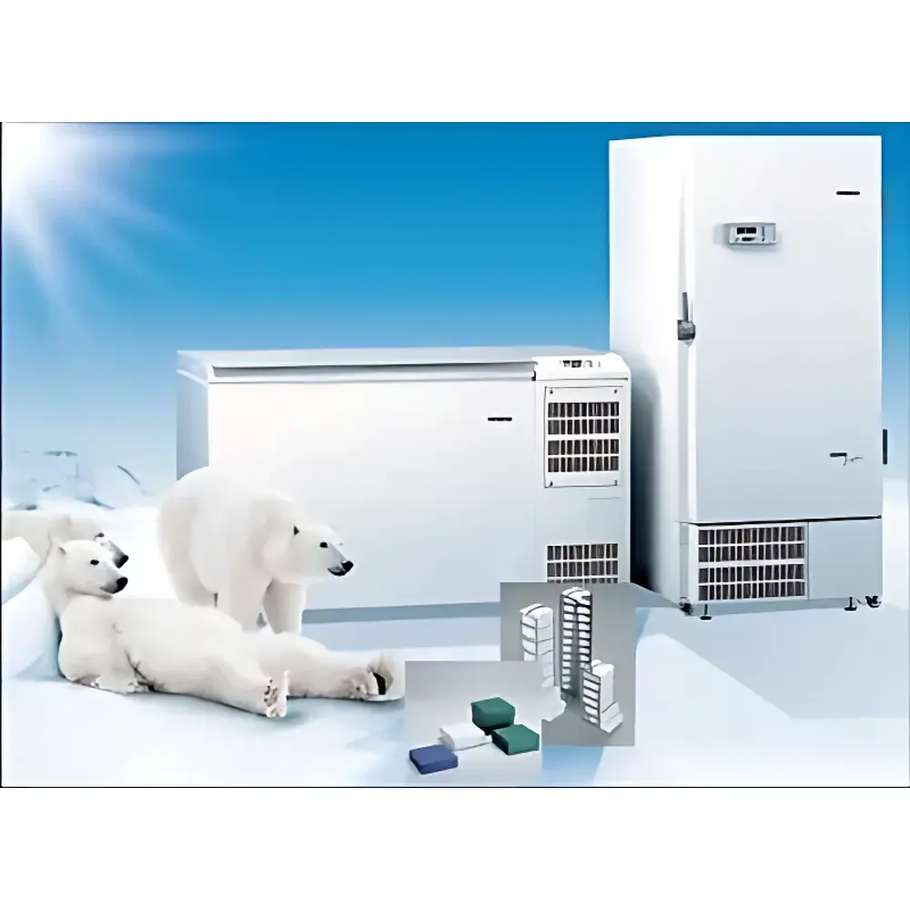 Thermo Fisher HERAfreeze Ultra Low Temperature Freezer
