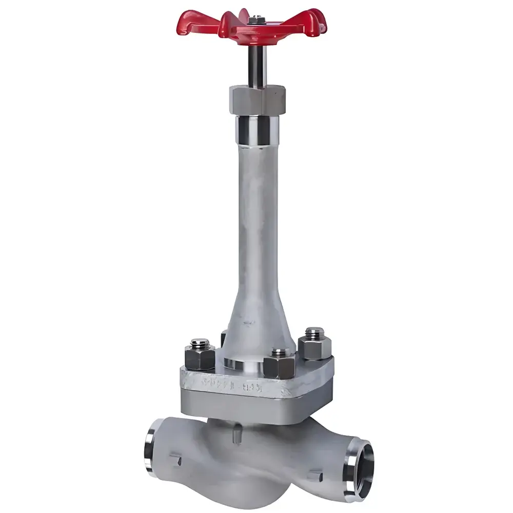 Stainless Steel Cryogenic Globe Valve with Bolted Bonnet