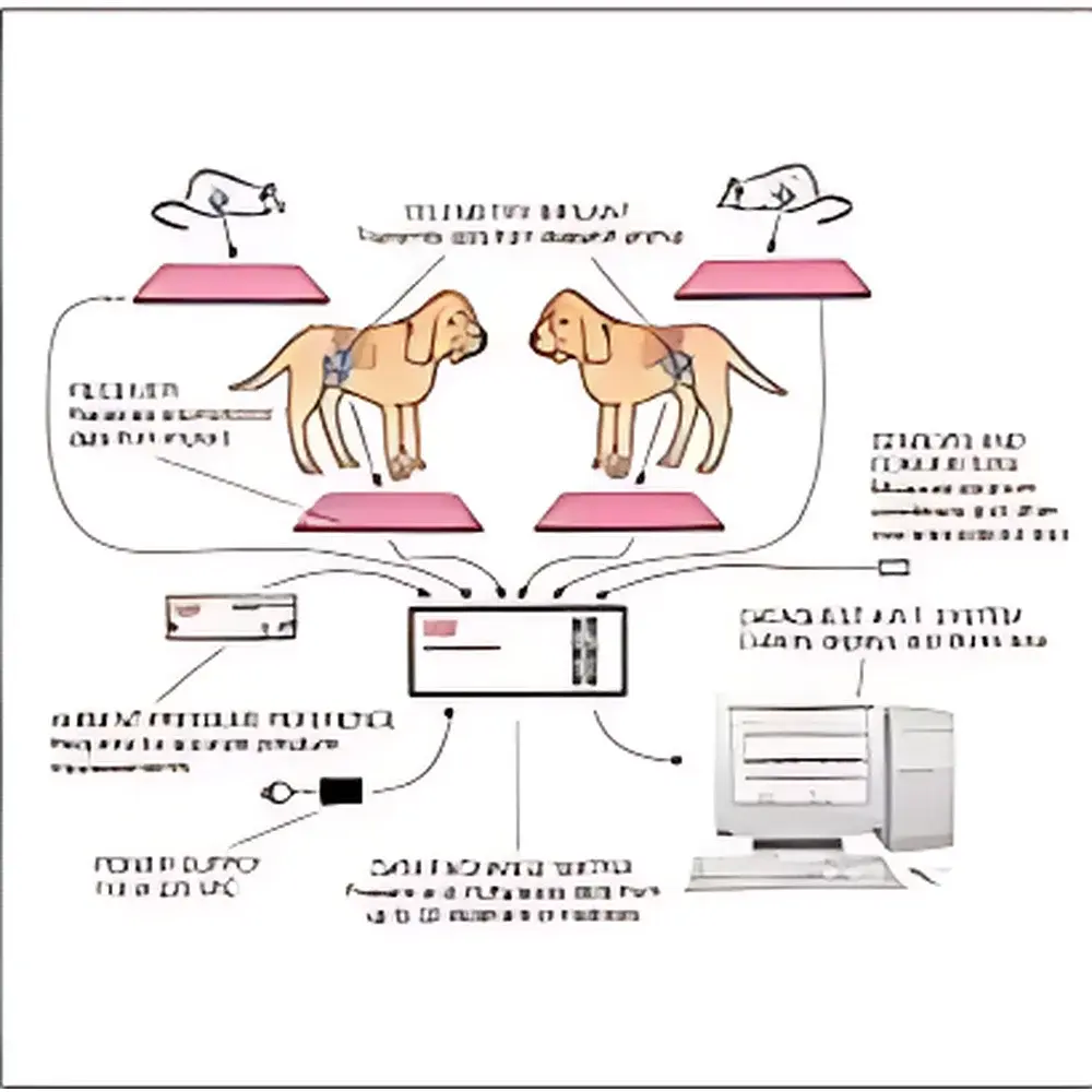 DSI Implantable Physiological Signal Telemetry System