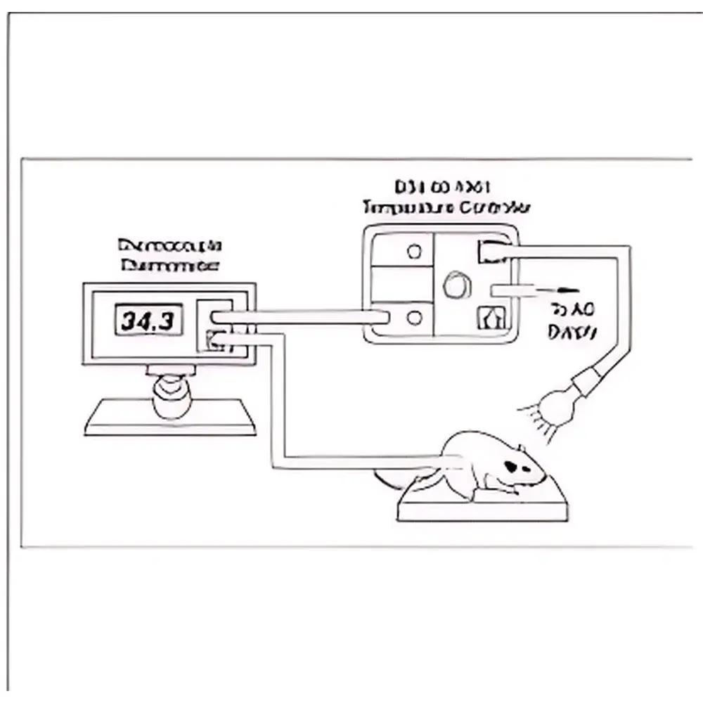 Thermocouple Temperature Controller Model 601961
