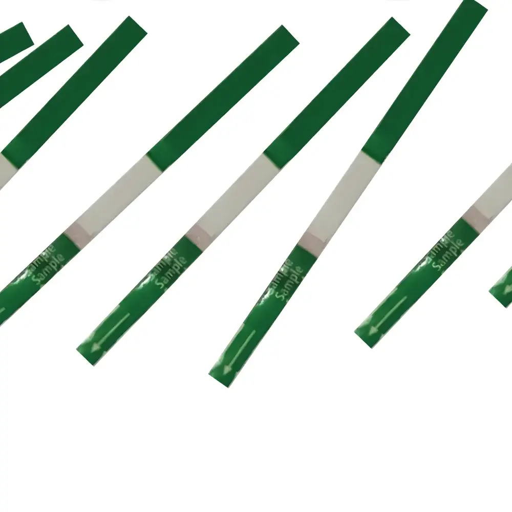 Tomato Brown Rugose Fruit Virus (ToBRFV) Rapid Immunochromatographic Test Strip