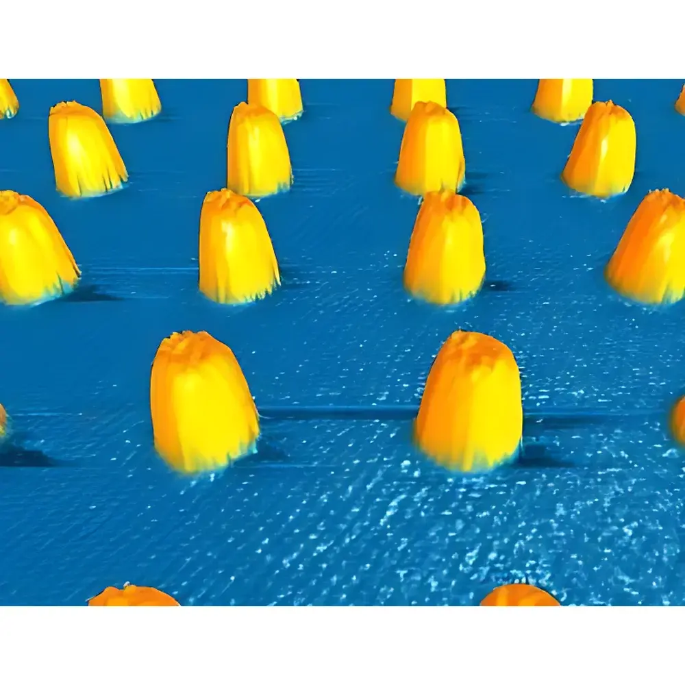 SPIP Surface Analysis Software for Nanoscale Imaging and Quantitative Metrology