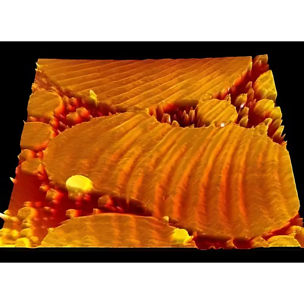 SPIP Surface Analysis Software for Nanoscale Imaging and Quantitative Metrology