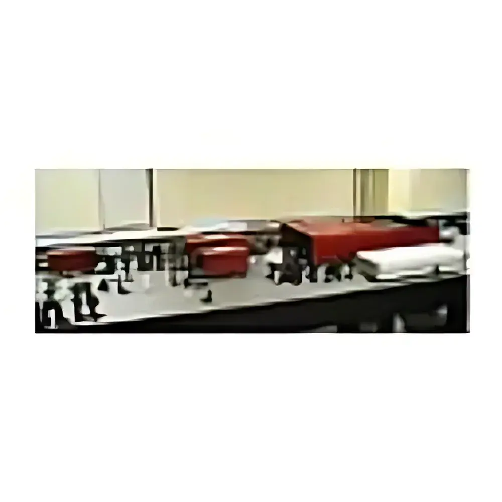 Cr:Forsterite Multi-Terawatt Amplified Laser System
