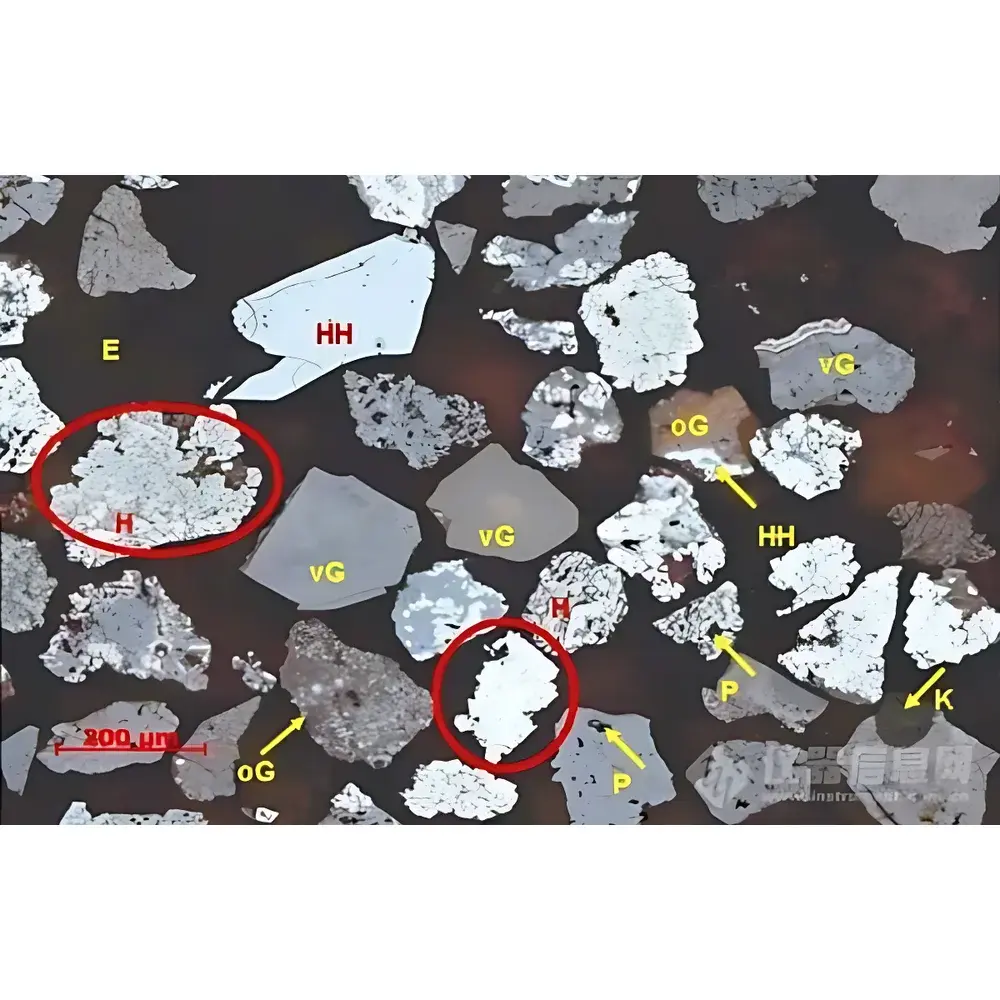 OPTON OIA Fully Automated Optical Mineralogical Analysis System