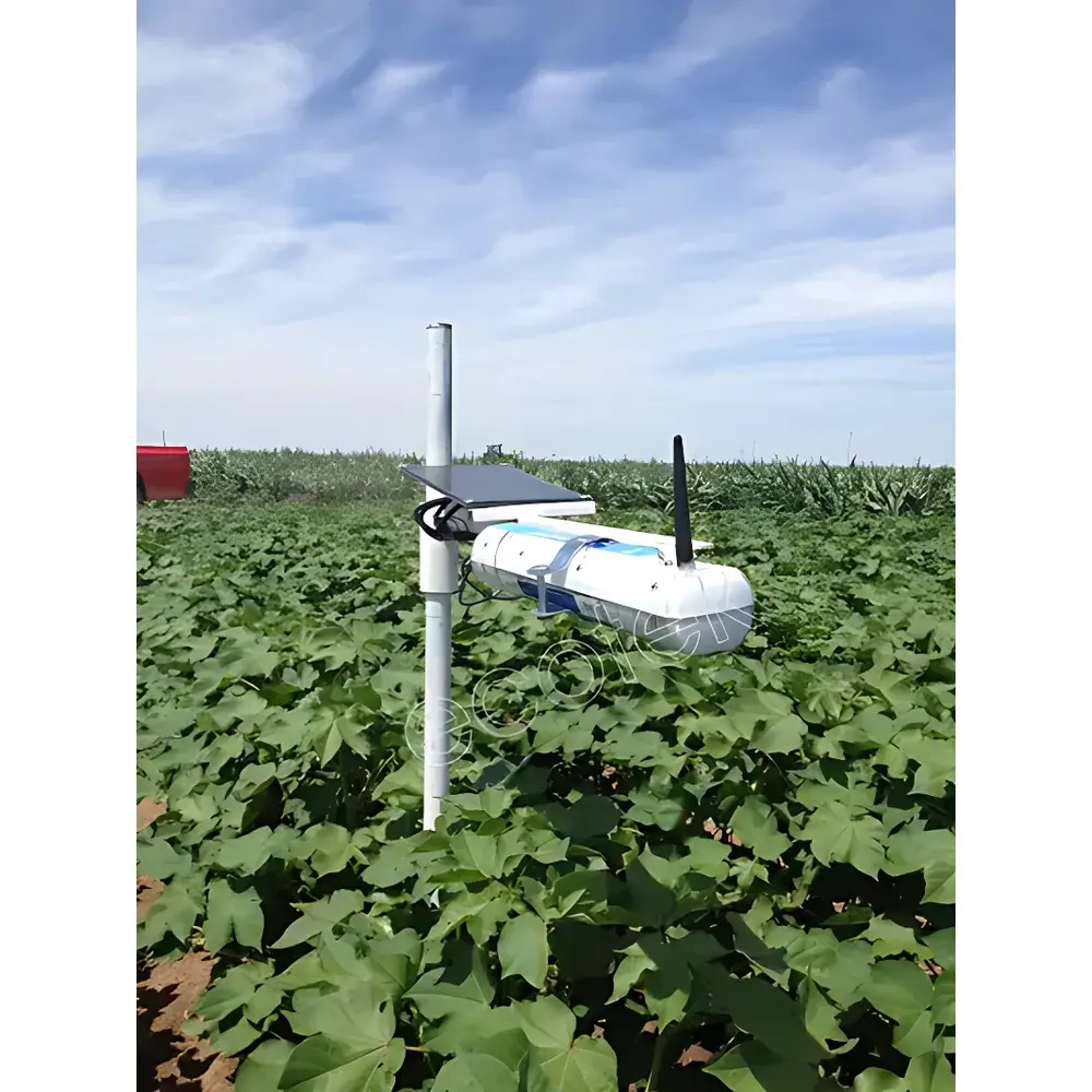 Dynamax SapIP-IRT Wireless Infrared Canopy Temperature Monitoring Network