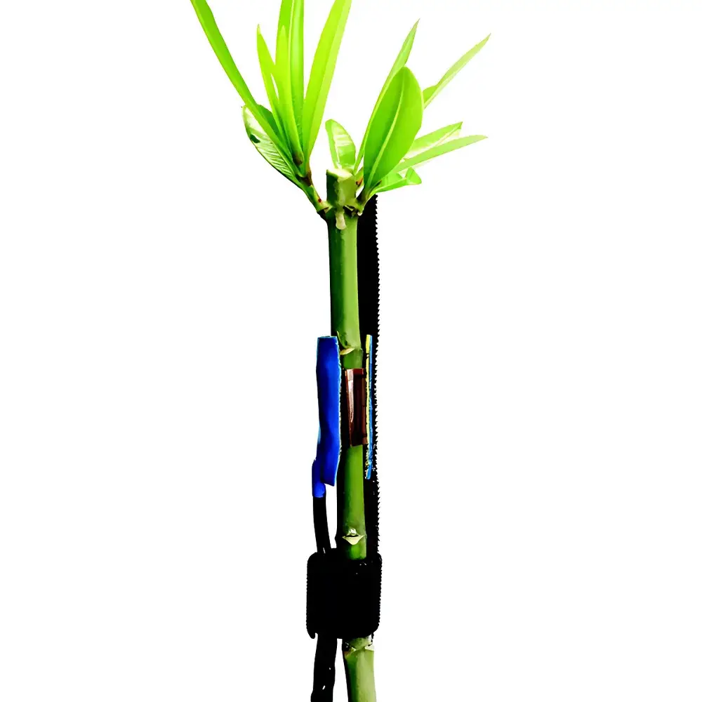 Dynamax SGDC EXO-Skin Wrap-Around Stem Flow Sensor