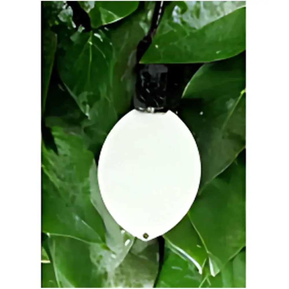 METER PHYTOS 31 Leaf Wetness Sensor