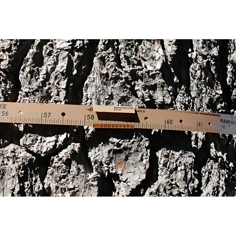 Dendrometer D1 Stem Growth Monitor by METER Group