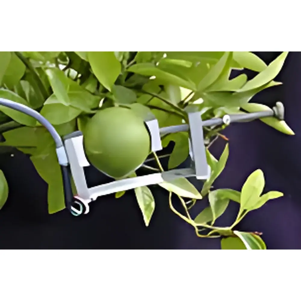Dynamax DEX Fruit and Stem Growth Monitor