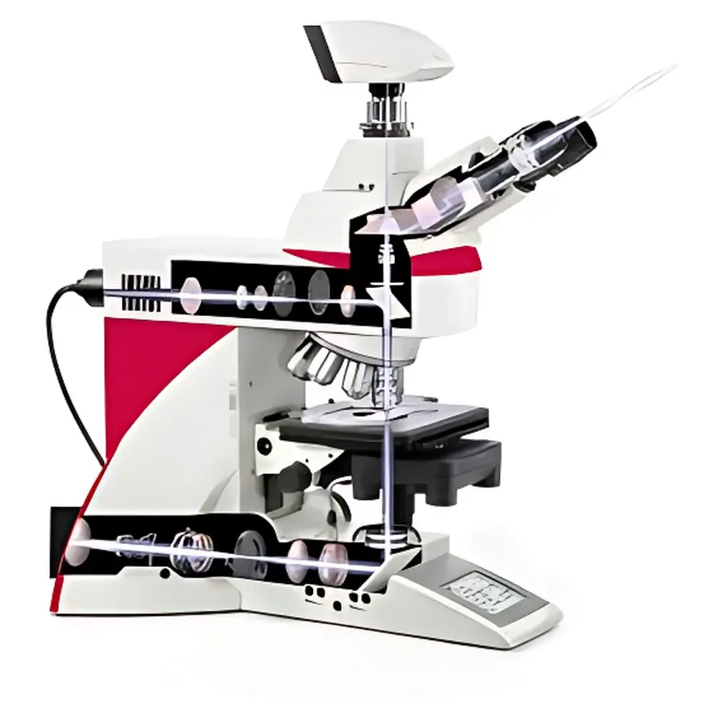 Leica DM6 B Upright Digital Research Microscope