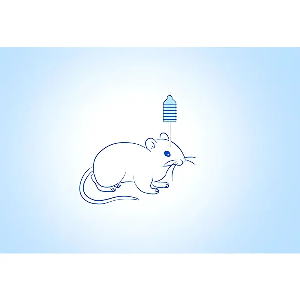RWD Micro-Infusion Cannula System