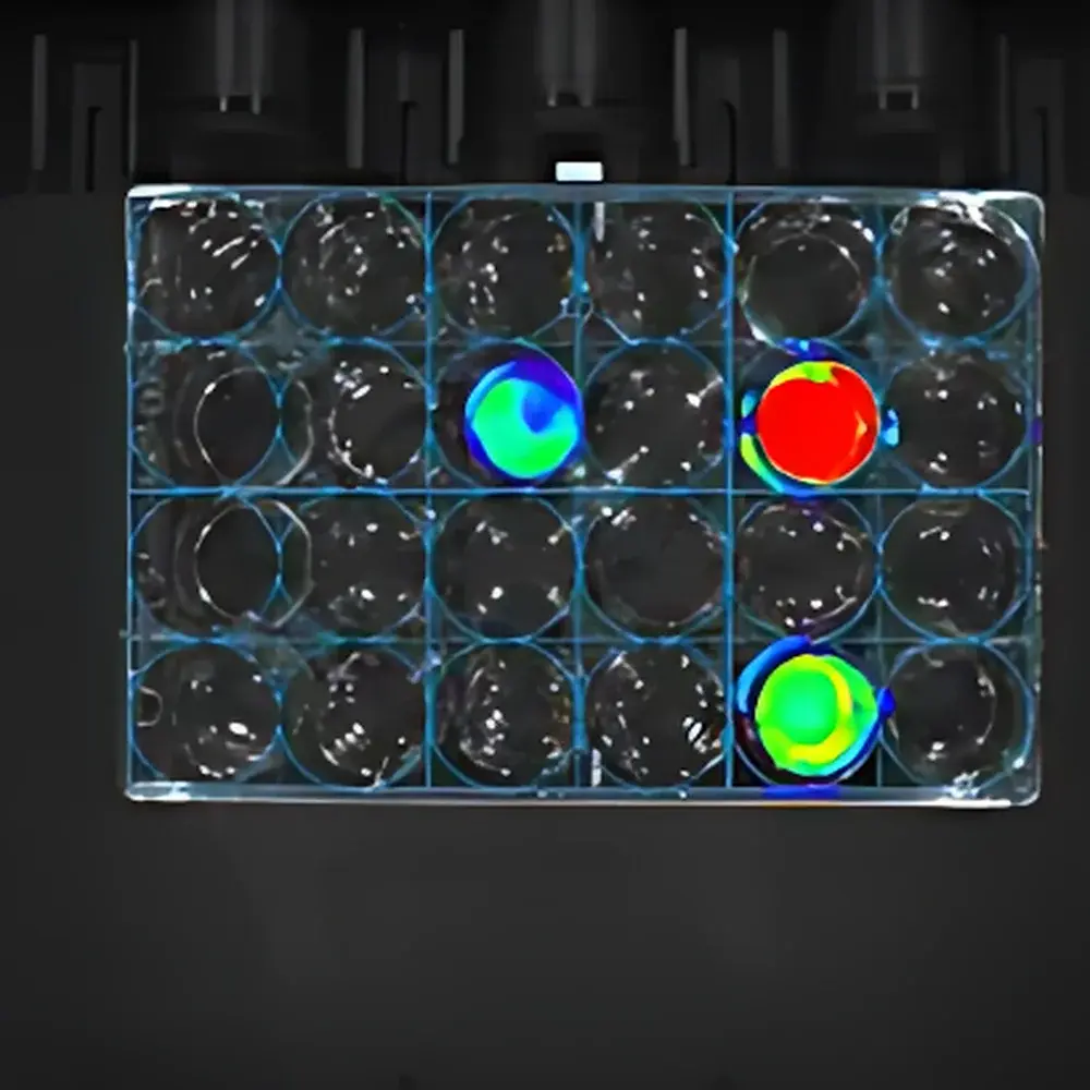 RWD MOIS HT Small Animal In Vivo Optical Imaging System