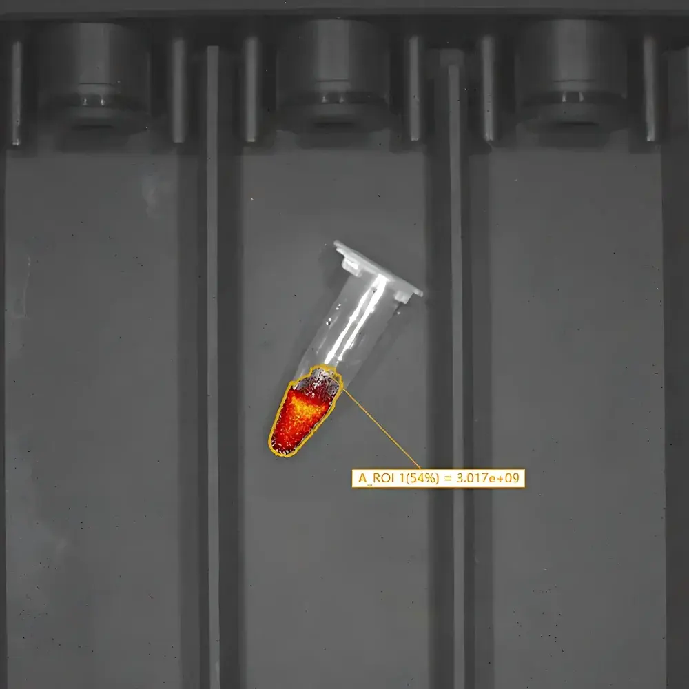RWD MOIS HT Small Animal In Vivo Optical Imaging System