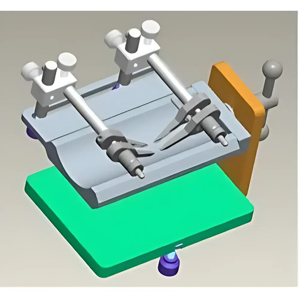 68096 Mouse Spinal Cord Experimental Setup