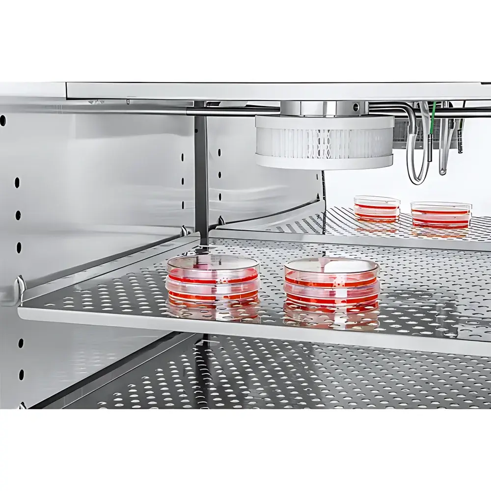 RWD D180 CO₂ Incubator