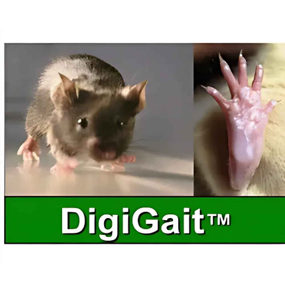DigiGait™ Rodent Gait Analysis System by Mouse Specifics Inc.