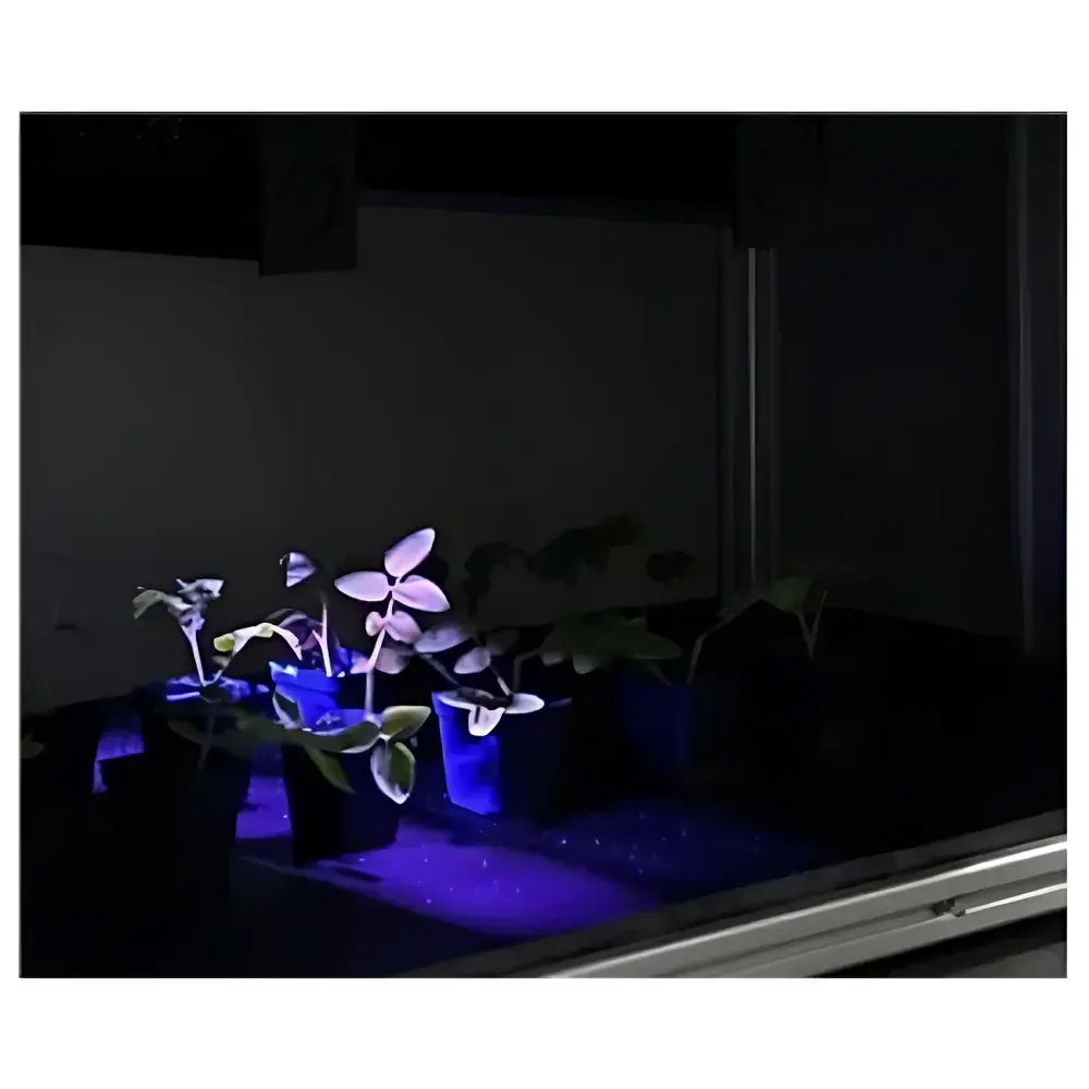 EcoTech FluorTron Plant Chlorophyll Fluorescence Spectral Imaging System
