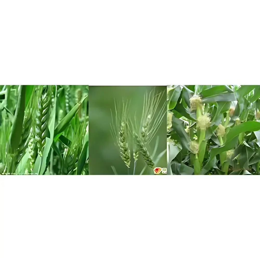 N-Pen Handheld Leaf-Clip Nitrogen Meter
