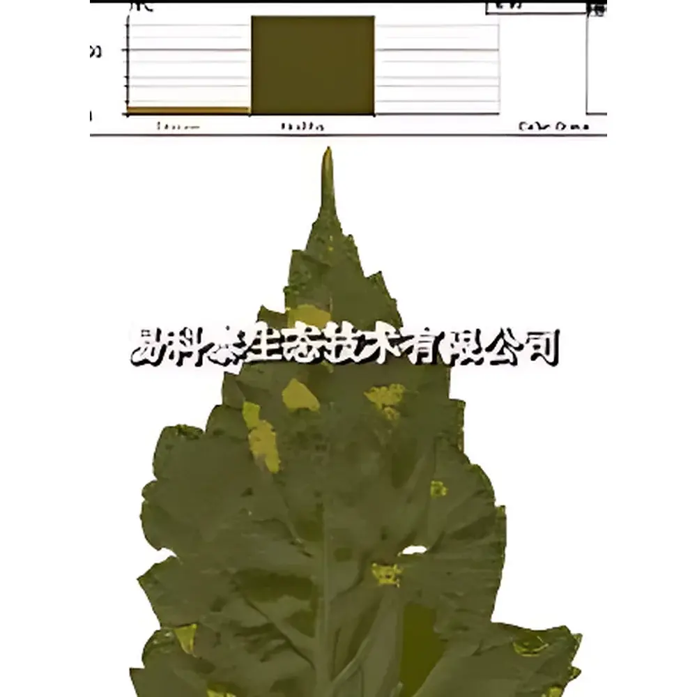 WinCAM Color Analysis System