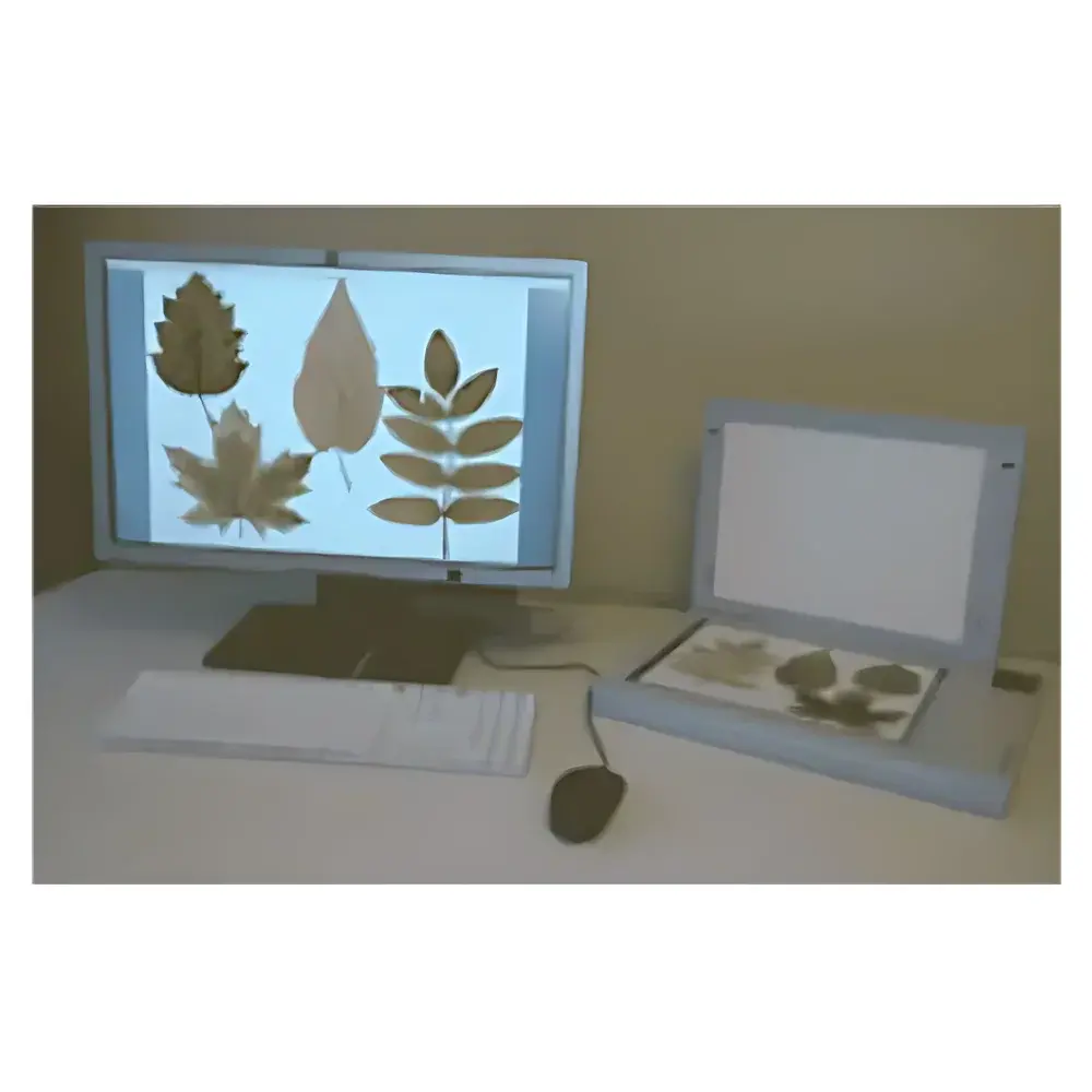 Regent WinFOLIA Multi-Function Leaf Area Analyzer