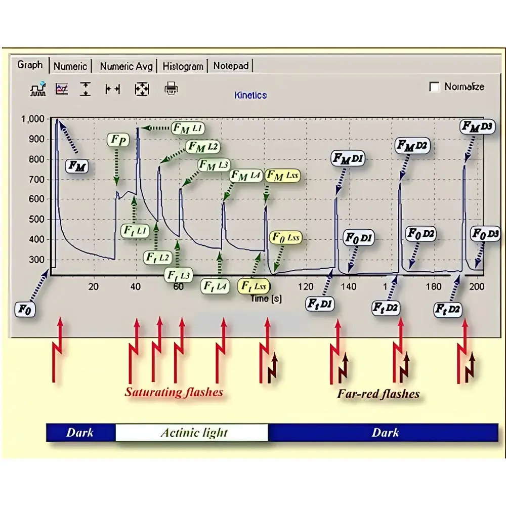 FluorCam Open-Field Chlorophyll Fluorescence Imaging System by PSI