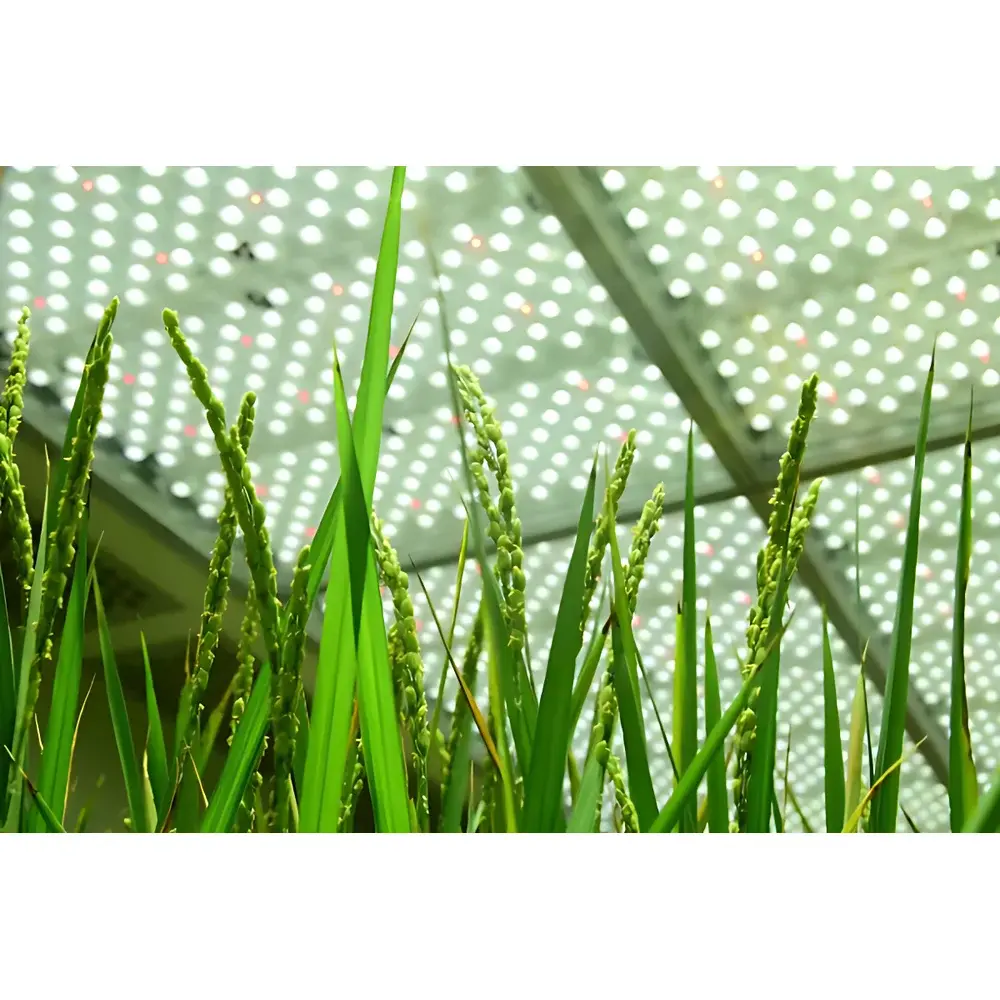 PSI Fyto Smart LED Light Panel Series