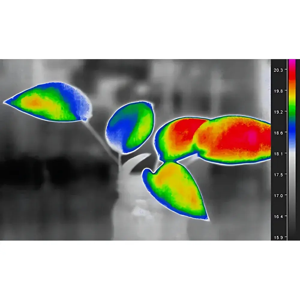 Workswell WIC Infrared Thermography Solution for Plant Science