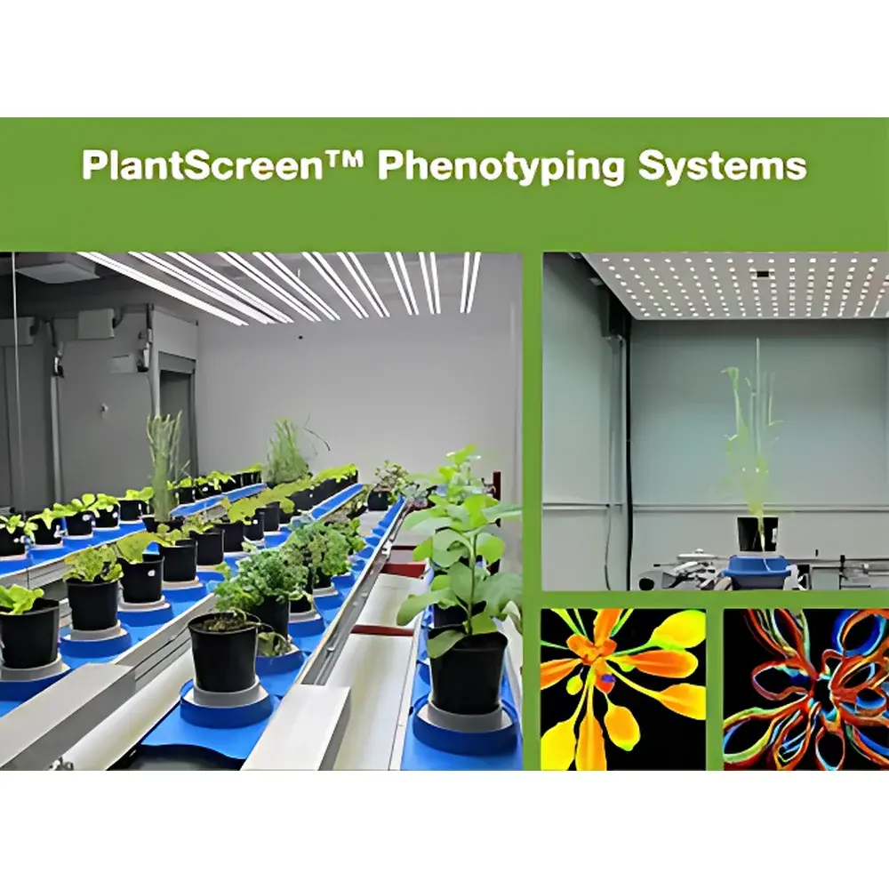 PSI PlantScreen Conveyor-Based High-Throughput Plant Phenotyping Platform