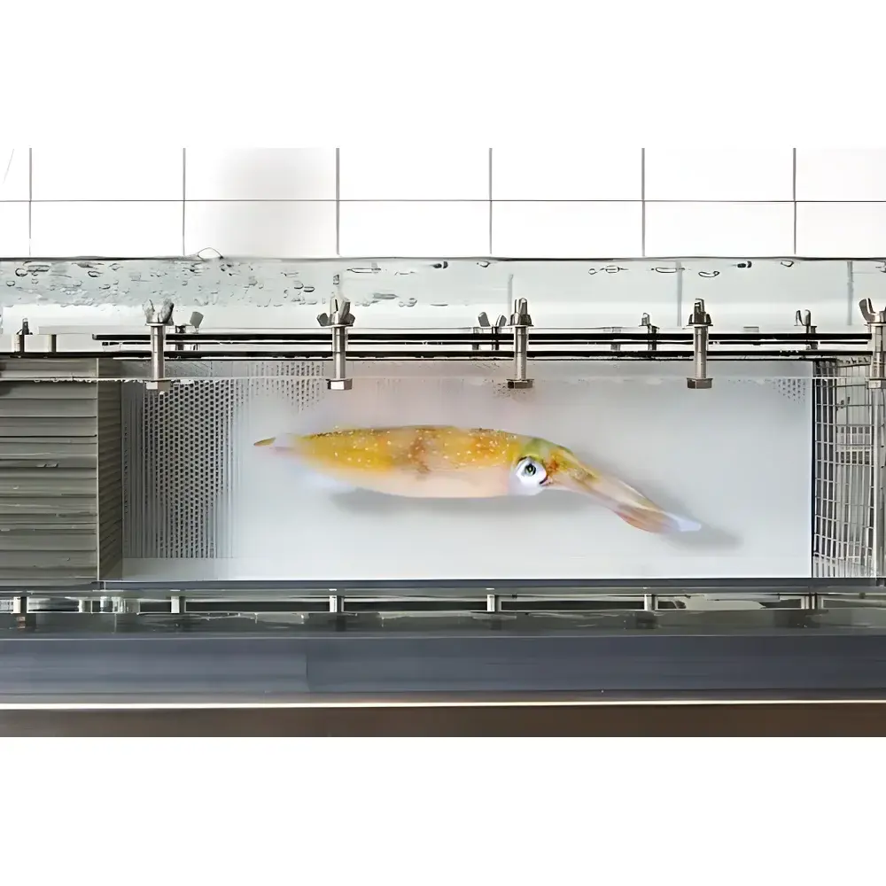 Loligo Systems Fish Swimming Performance System