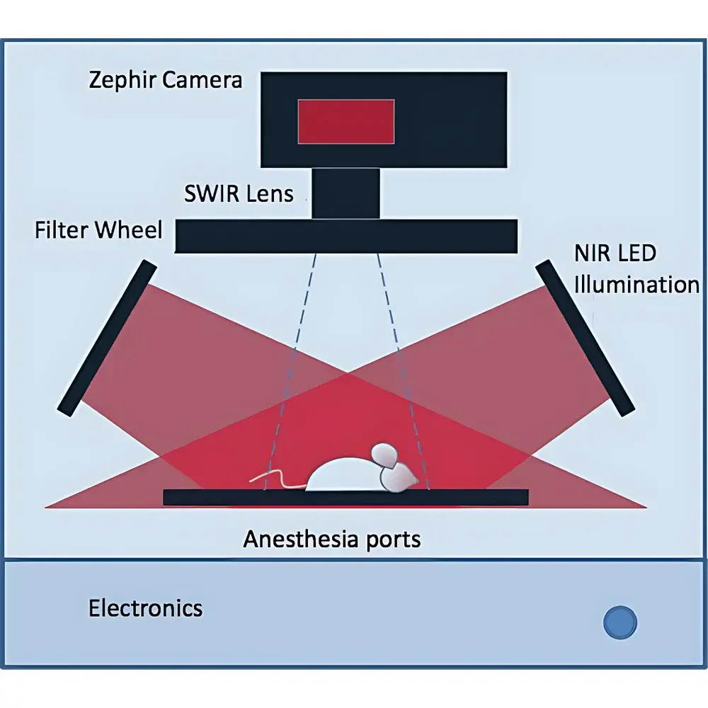 IR VIVO NIR-II Multispectral In Vivo Imaging System