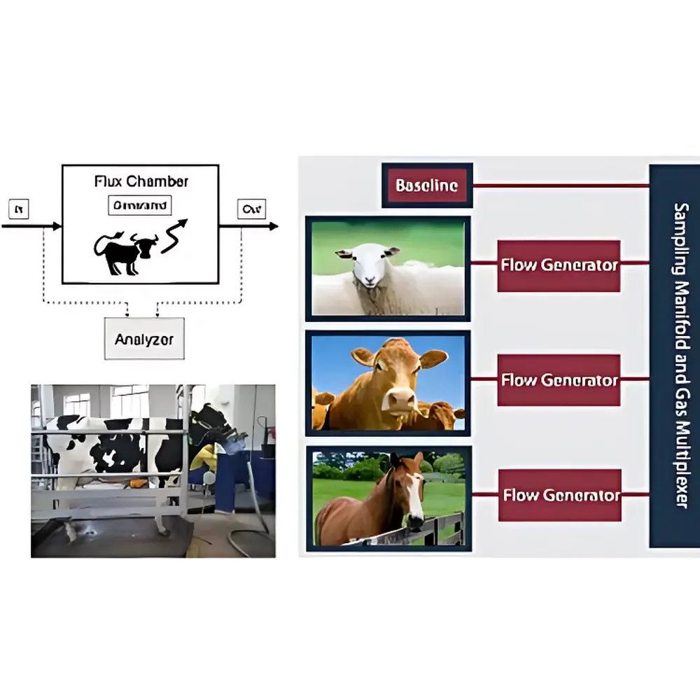 Indirect Calorimetry-Based Animal Energy Metabolism & Greenhouse Gas Emission Measurement System
