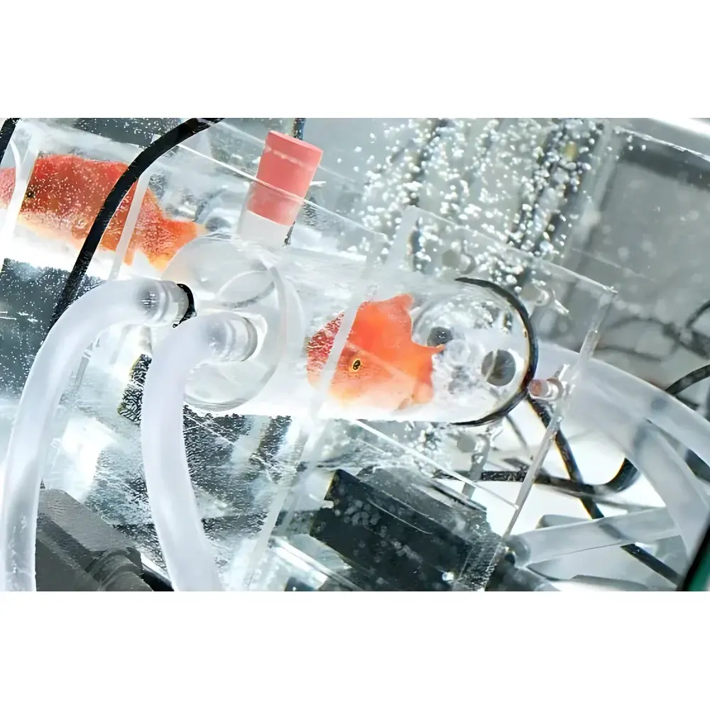 Loligo Systems Fish and Aquatic Invertebrate Respirometry System