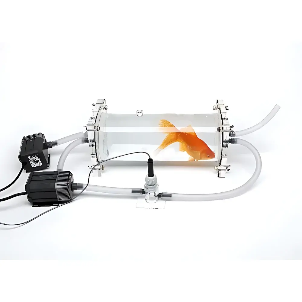 Loligo Systems Fish and Aquatic Invertebrate Respirometry System