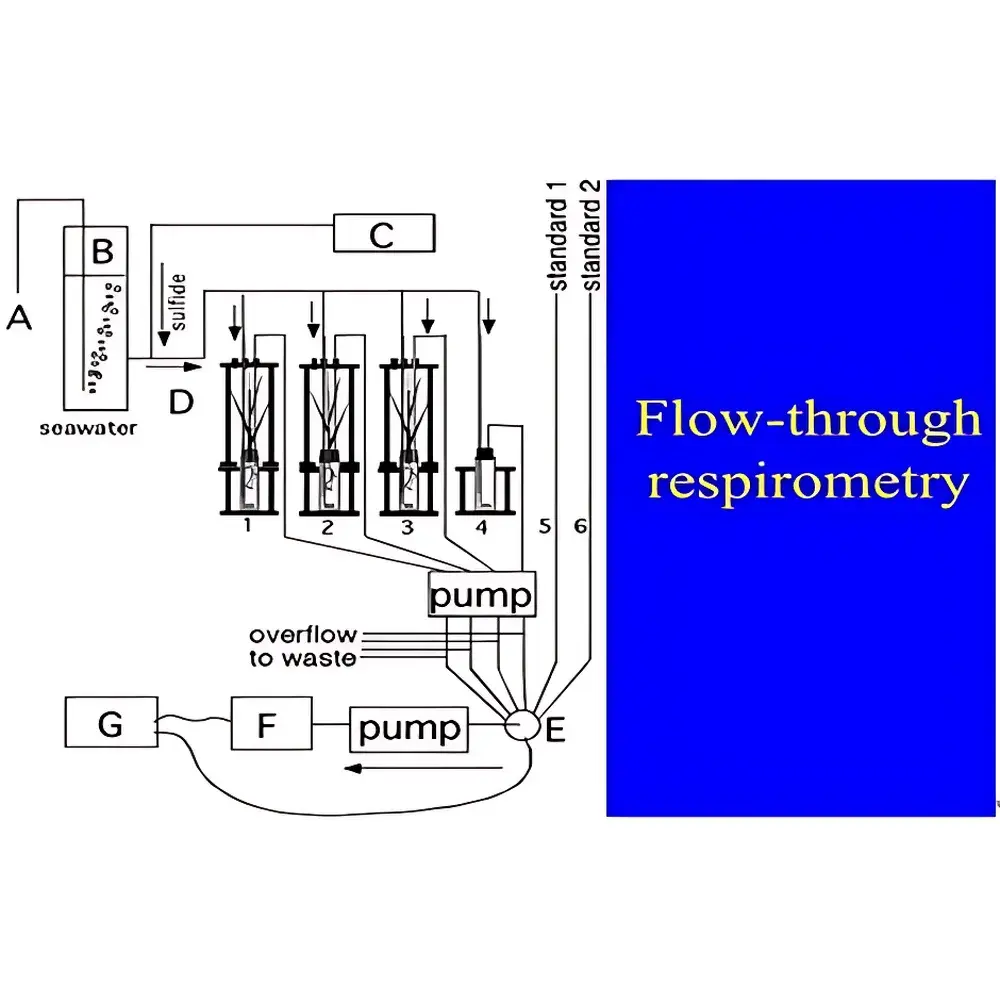Sable CA-10 Multifunctional Automated Plant Respirometry System