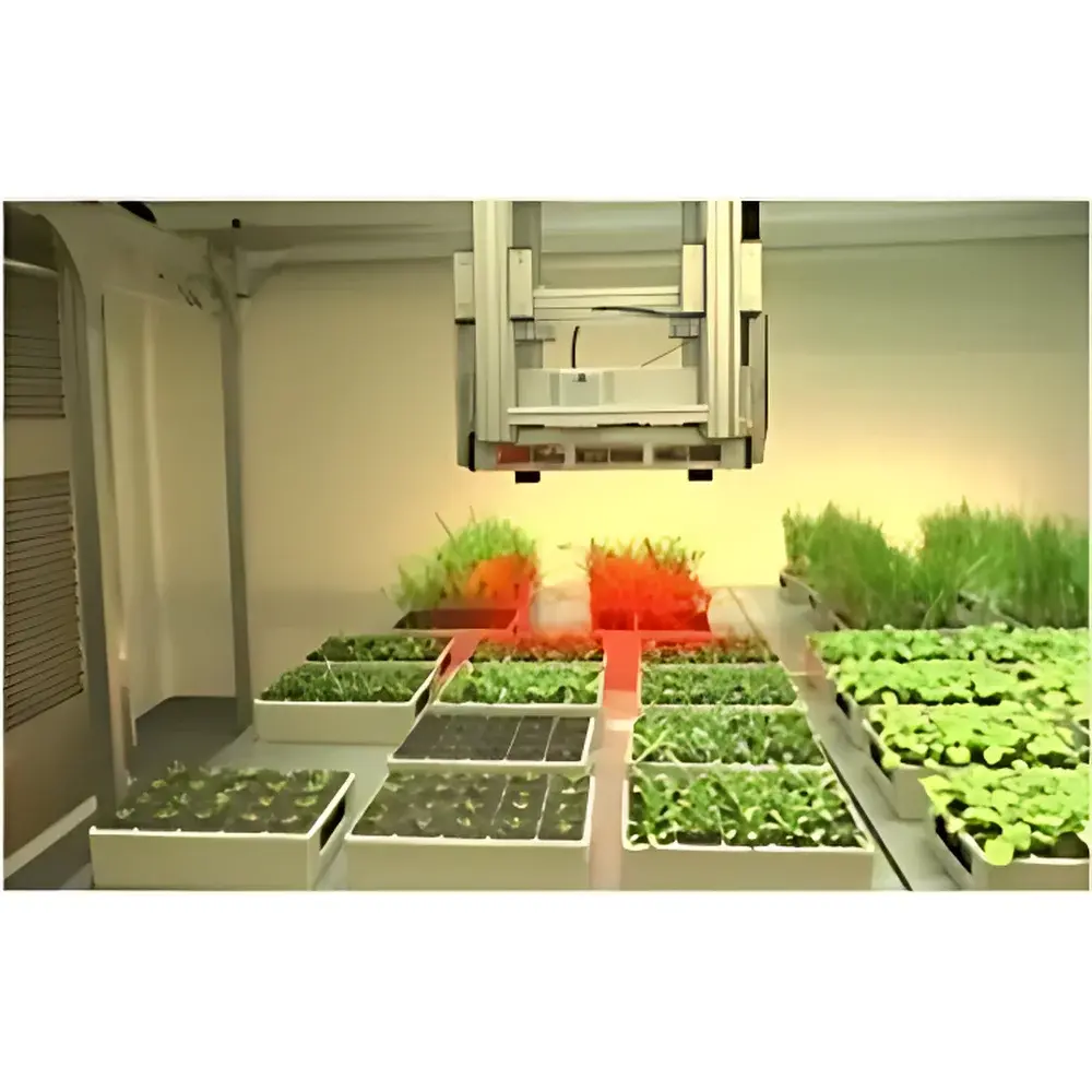 PSI PlantScreen Conveyor-Based High-Throughput Plant Phenotyping Imaging System