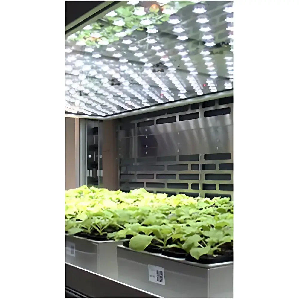 PSI PlantScreen Conveyor-Based High-Throughput Plant Phenotyping Imaging System