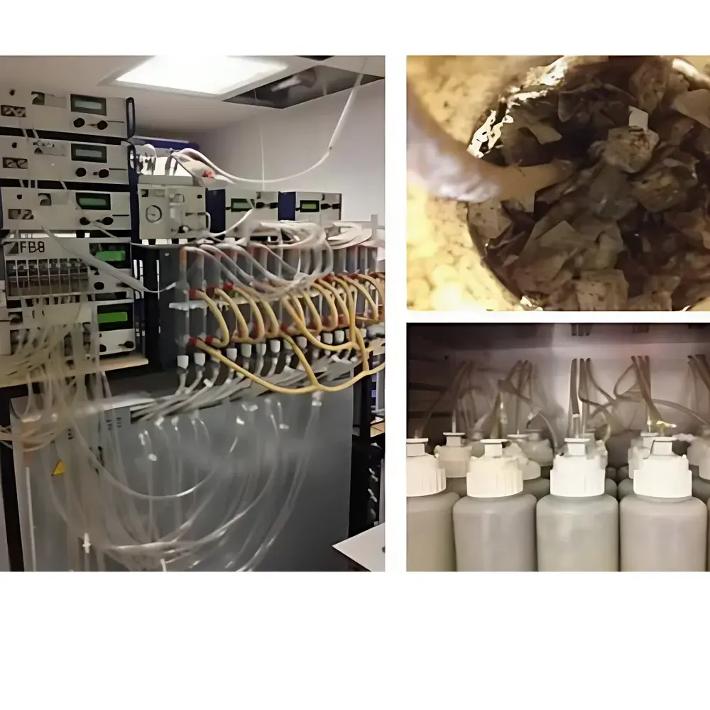 Sable Dynamic Respirometry System for Soilless Cultivation and Compost Biodegradation Assessment